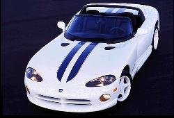 Viper4.jpg (9559 bytes)